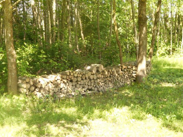 Camping Les Arbois Montjay (Saone-et-Loire) Exterior foto