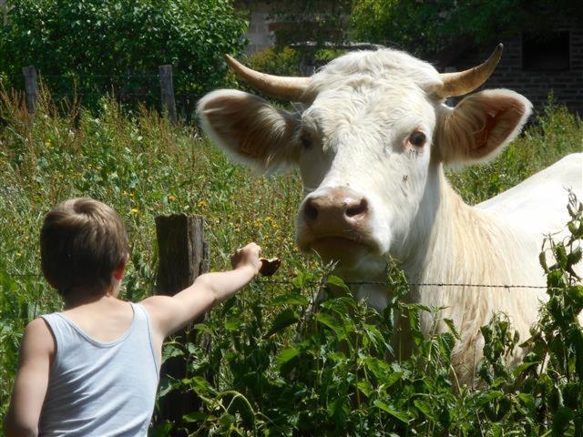 Camping Les Arbois Montjay (Saone-et-Loire) Exterior foto